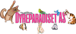 dyreparadiset.no
