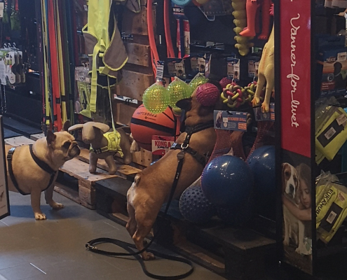 Besøk i butikken Dyreparadiset Halden